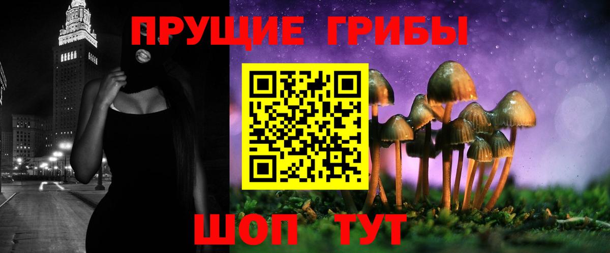 Галлюциногенные грибы Psilocybine cubensis  Вход с VPN  Клинцы 